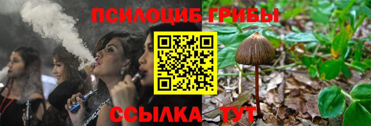 Псилоцибиновые грибы Magic Shrooms  Вход с VPN  Михайловка  Псилоцибиновые грибы прущие грибы 